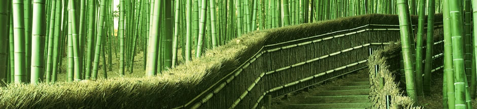 Leverancier van Bamboe.